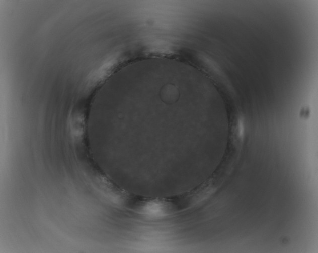 X0000114180708200910081459
