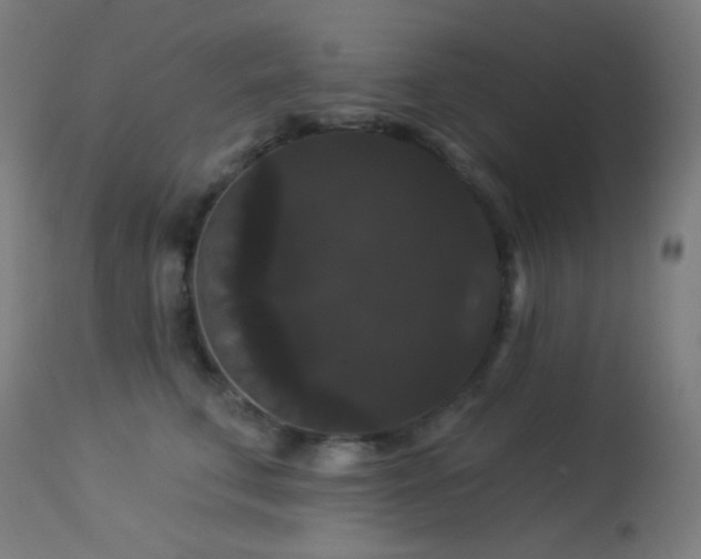 X0000114180711200910081459