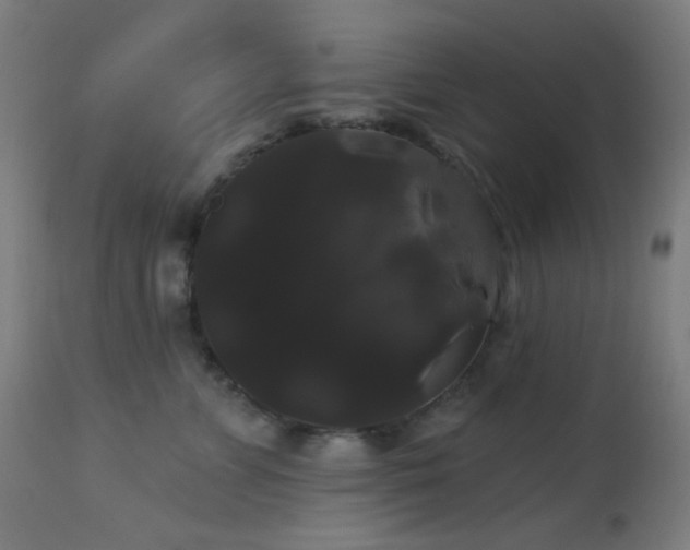 X0000114180715200910081459