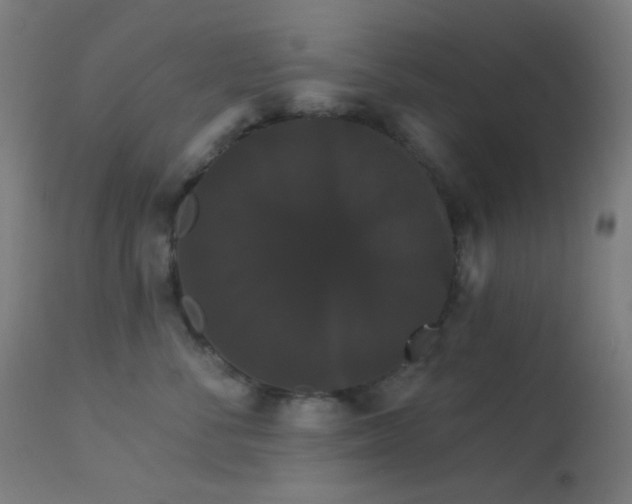 X0000114180716200910081459