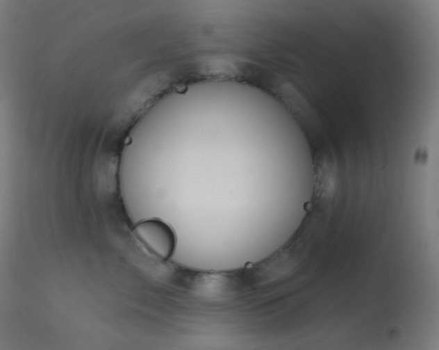 X0000114180717200910081459