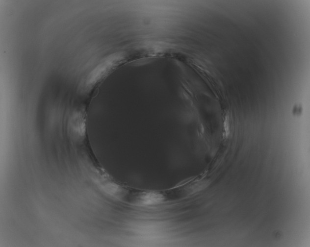 X0000114180719200910081459