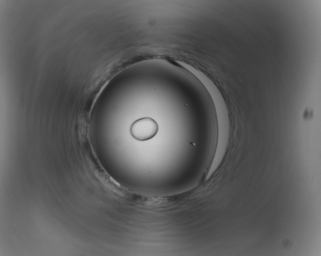 X0000114180720200910081459