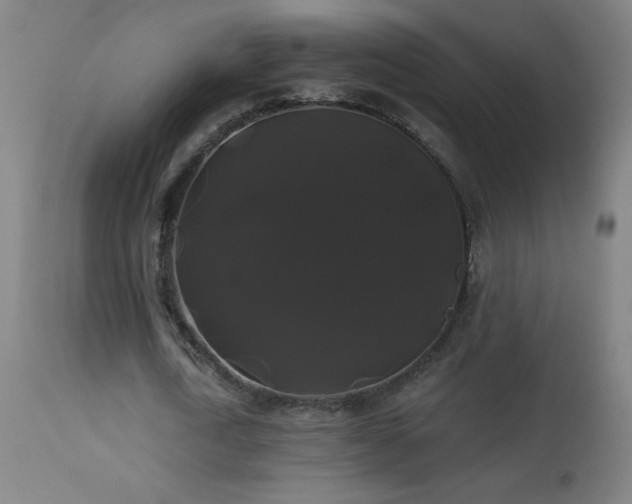 X0000114180722200910081458