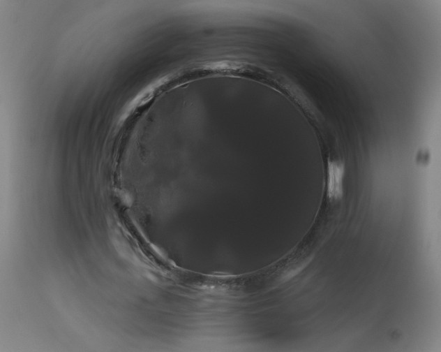 X0000114180723200910081458