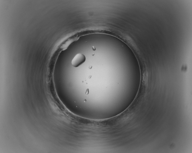 X0000114180724200910081458