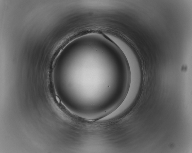 X0000114180725200910081458