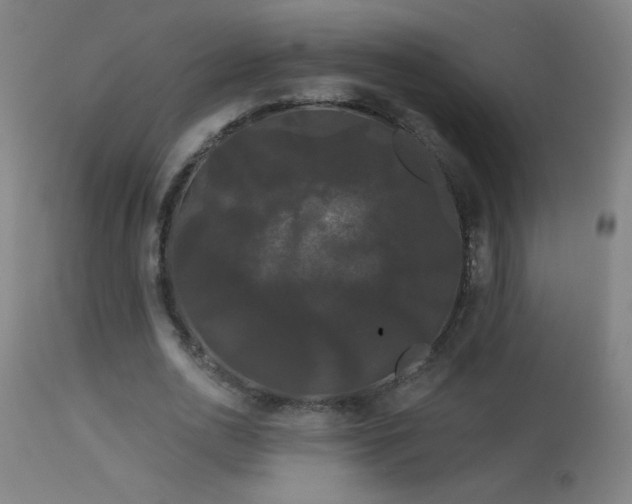 X0000114180726200910081458