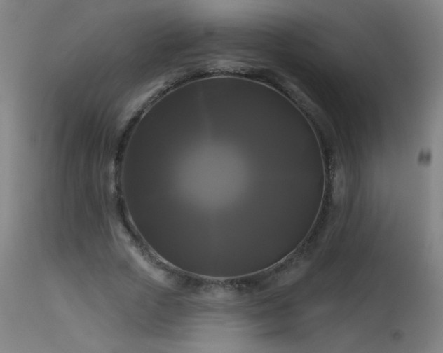 X0000114180729200910081458