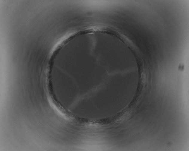 X0000114180730200910081458