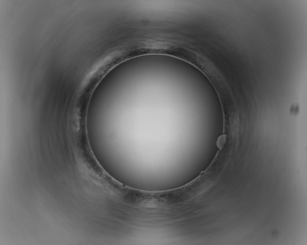 X0000114180731200910081458
