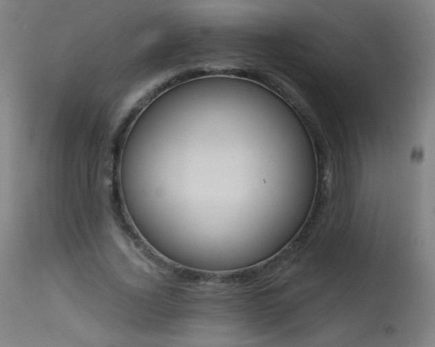 X0000114180732200910081458
