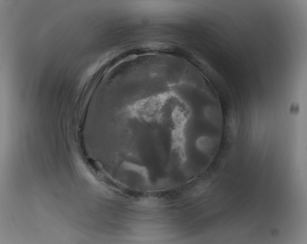 X0000114180734200910081458
