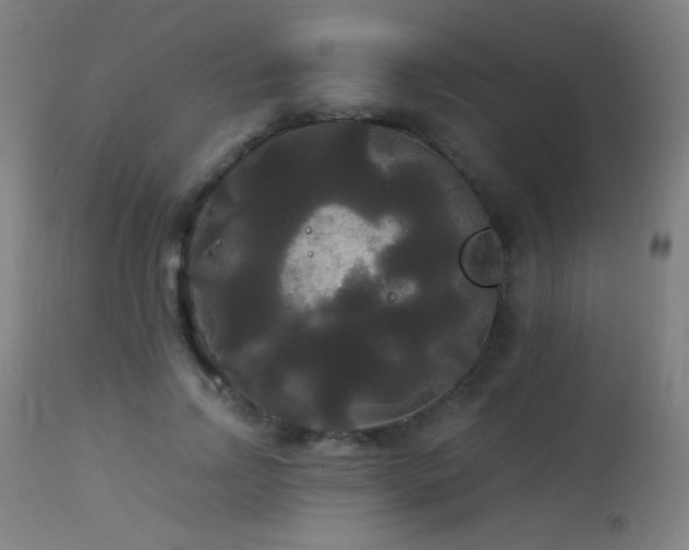 X0000114180742200910081459