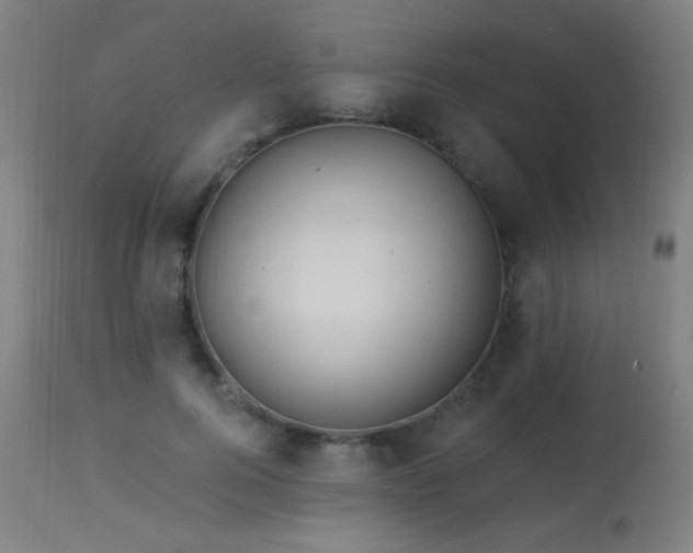 X0000114180744200910081459