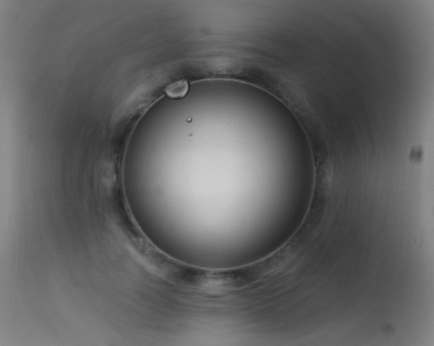 X0000114180746200910081459