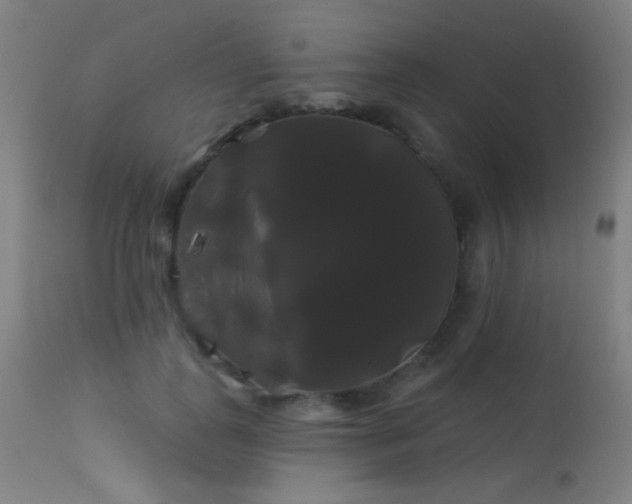 X0000114180747200910081459