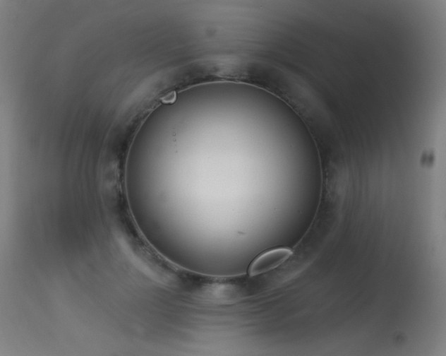 X0000114180748200910081459