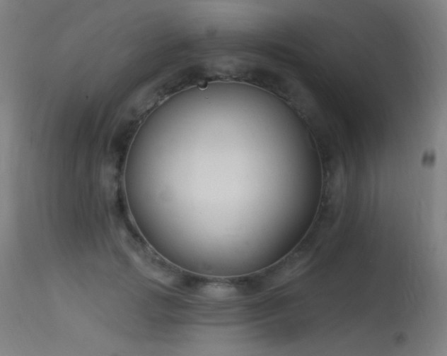 X0000114180749200910081459