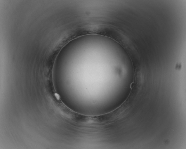 X0000114180750200910081459