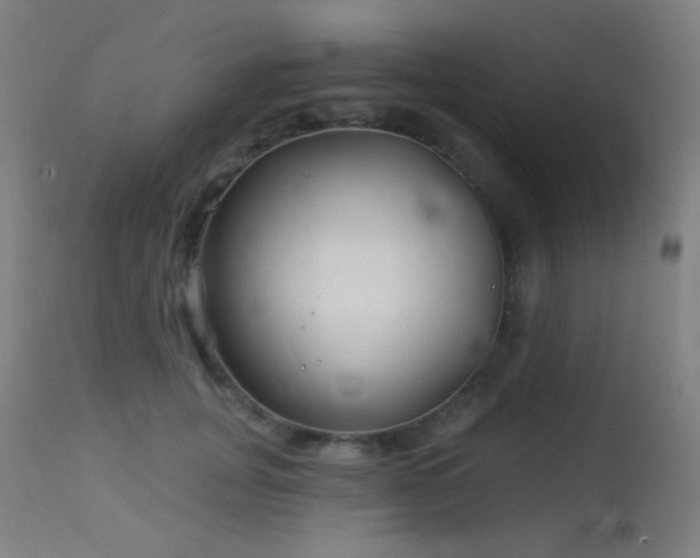 X0000114180751200910081459