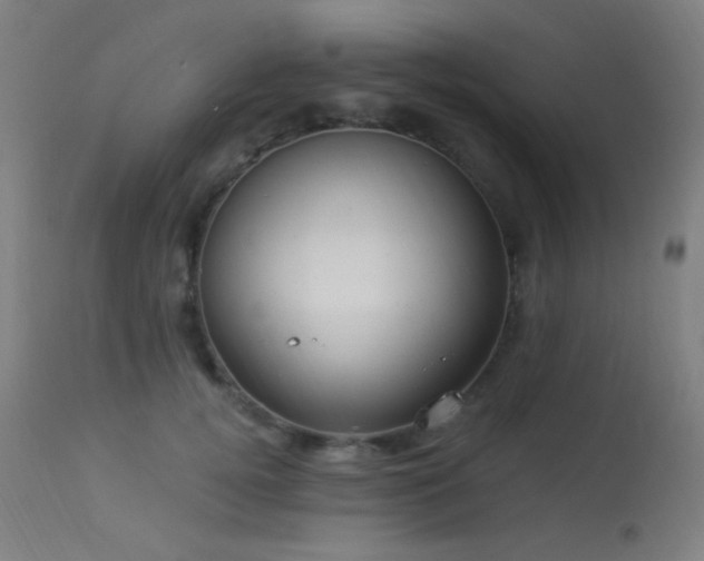 X0000114180752200910081459