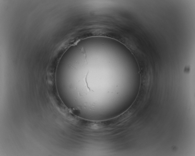 X0000114180755200910081459