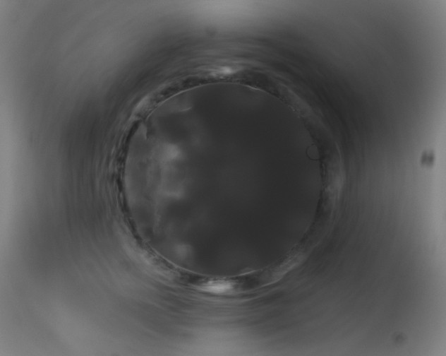 X0000114180758200910081459