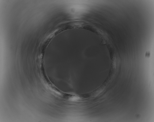 X0000114180759200910081459