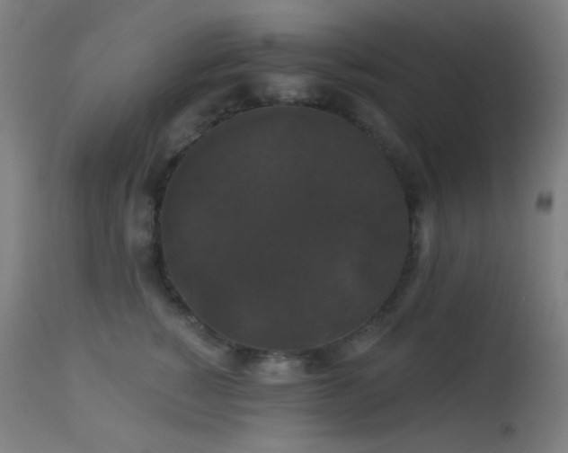 X0000114180760200910081459