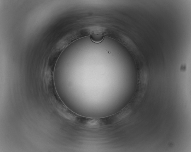 X0000114180761200910081459