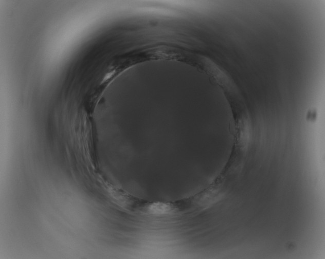 X0000114180762200910081459