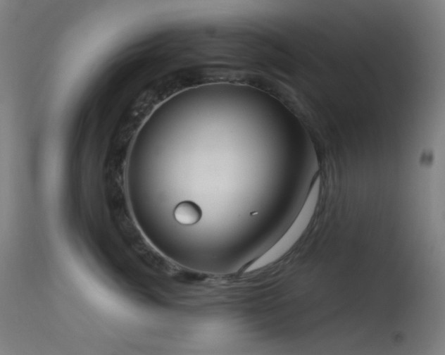 X0000114180764200910081459