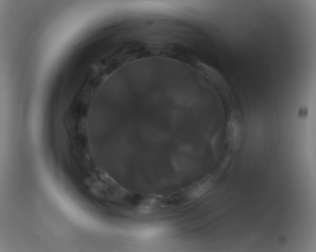 X0000114180765200910081459