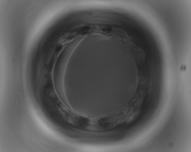 X0000114180766200910081459