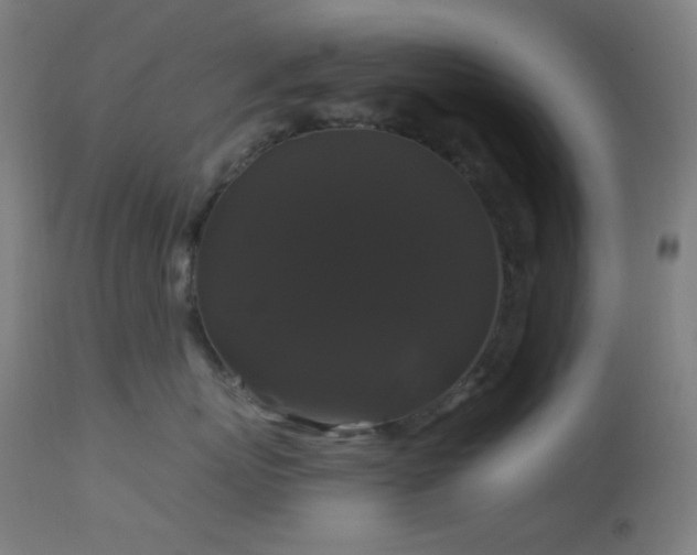 X0000114180767200910081459