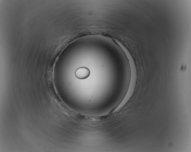 X0000114180768200910081459