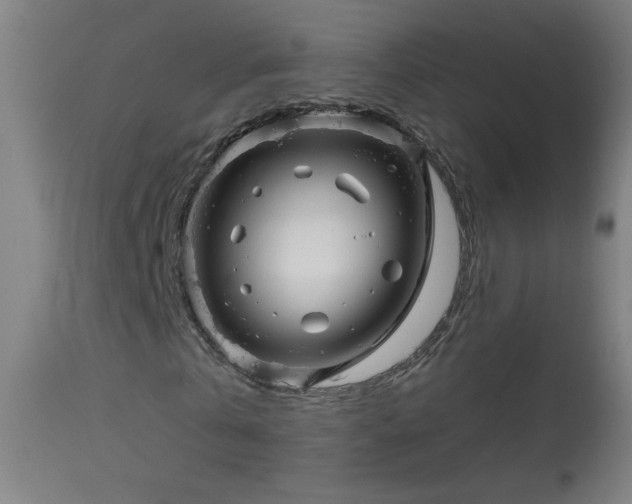 X0000114180769200910081458
