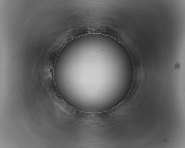 X0000114180770200910081458