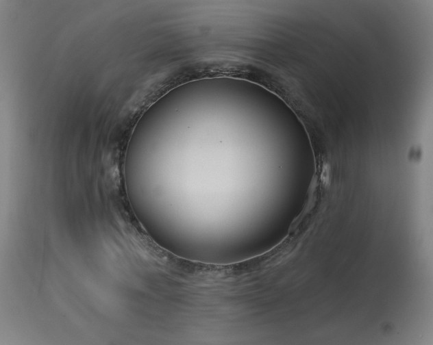 X0000114180771200910081458