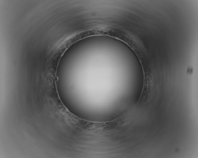 X0000114180773200910081458
