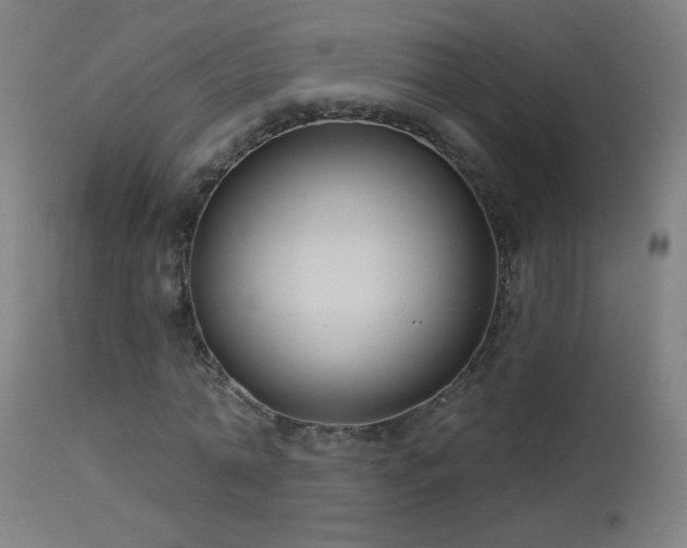 X0000114180774200910081458