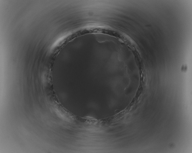 X0000114180775200910081458