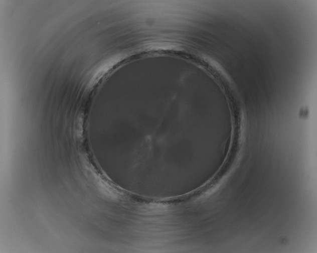 X0000114180777200910081458