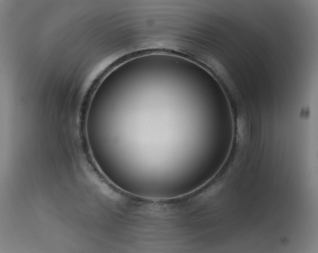 X0000114180780200910081458