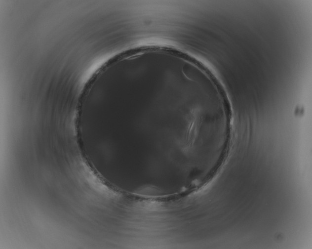 X0000114180783200910081458