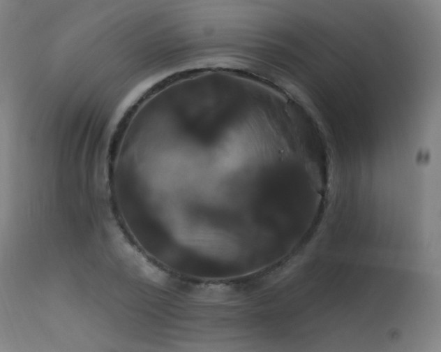 X0000114180784200910081458