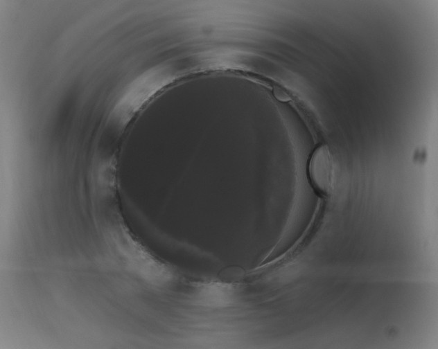 X0000114180785200910081458