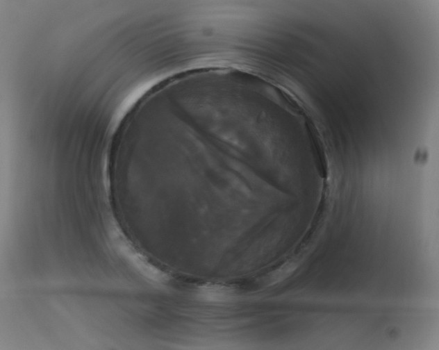 X0000114180788200910081458