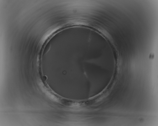 X0000114180790200910081458